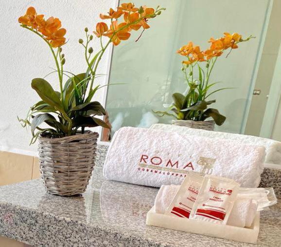 Hotel Roma Cosamaloapan de Carpio Luaran gambar